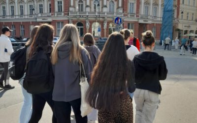 Zusammenfassung D-CZ Projekt 2024
