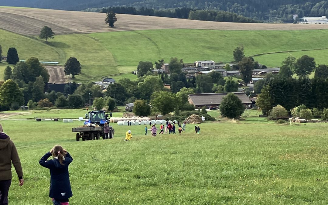 Kartoffelernte in Markersbach